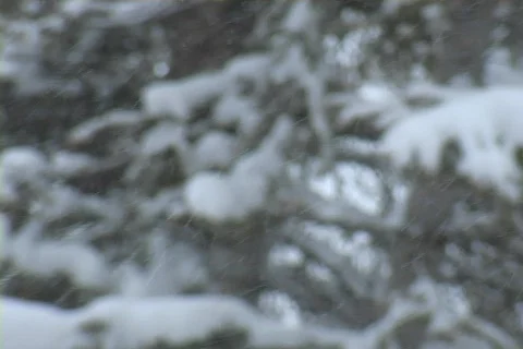 Winter Snow Storm and Blizzard Video stock 281132