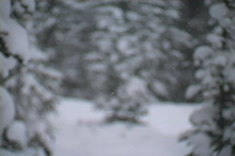 Winter Snow Storm and Blizzard Stock Footage 281136