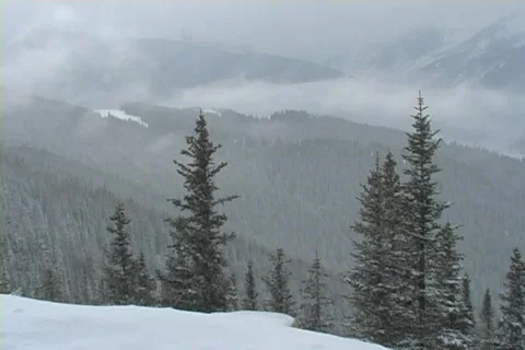 Winter Snow Storm and Blizzard Stock Footage 281139