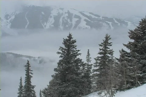 Winter Snow Storm and Blizzard Stock Footage 281141
