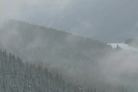 Winter Snow Storm and Blizzard Stock Footage 281142