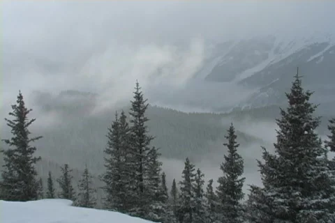 Winter Snow Storm and Blizzard Stock Footage 281143