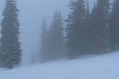 Winter Snow Storm and Blizzard Stock Footage 281144