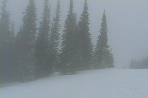 Winter Snow Storm and Blizzard Stock Footage 281145