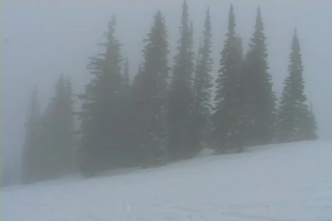 Winter Snow Storm and Blizzard Stock Footage 281149
