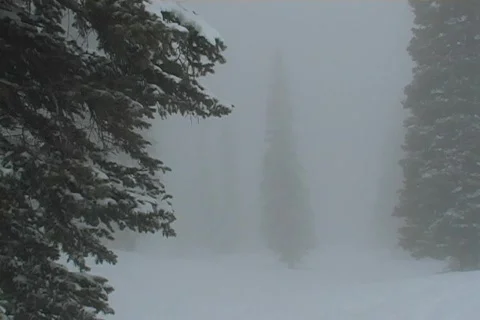 Winter Snow Storm and Blizzard Video stock 281150