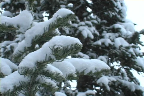 Winter Snow Storm and Blizzard Stock Footage 281157