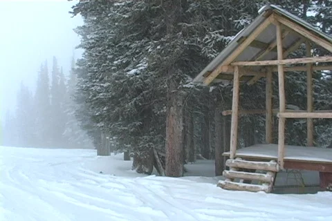 Winter Snow Storm and Blizzard Stock Footage 281160