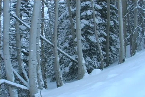 Winter Snow Storm and Blizzard Stock Footage 281161