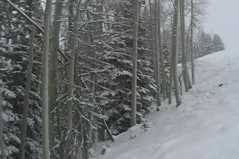 Winter Snow Storm and Blizzard Stock Footage 281162