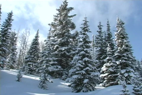 Winter Snow Storm and Blizzard Stock Footage 281172