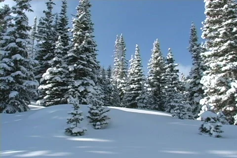 Winter Snow Storm and Blizzard Stock Footage 281173