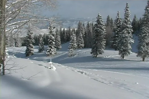 Winter Snow Storm and Blizzard Stock Footage 281175