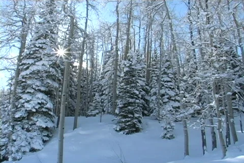 Winter Snow Storm and Blizzard Stock Footage 281181