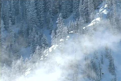 Winter Snow Storm and Blizzard Stock Footage 281209