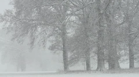 Winter snow storm Stock Footage 10561690