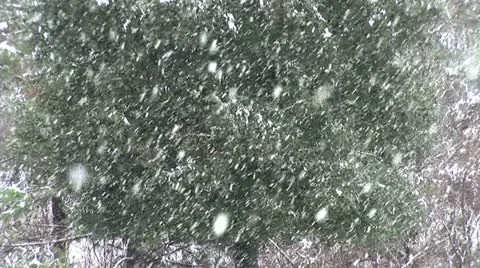 Winter Snow Storm Stock Footage 12626152