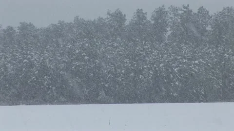 Winter Snow Storm Stock Footage 12626176