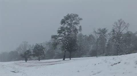 Winter Snow Storm Stock Footage 12626190