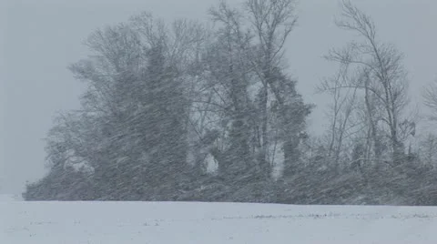 Winter Snow Storm Video stock 12626194