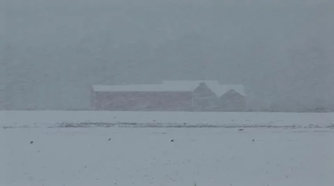 Winter Snow Storm Stock Footage 12626195