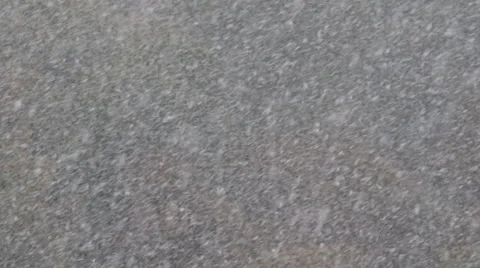 Winter snow storm forest tree woodland snowflake fall day mountain resort Xmas  Stock Footage 43143235