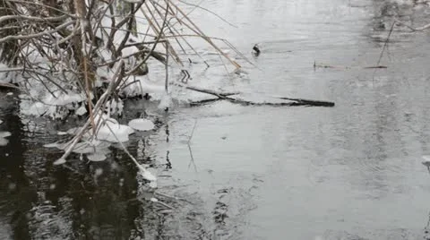 Winter snow storm on the river Video stock 22222690