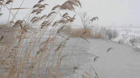 Winter snow storm on the river   Video stock 22222691