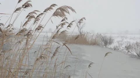 Winter snow storm on the river   Video stock 22222694