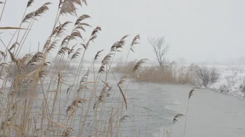 Winter snow storm on the river   Video stock 22222697