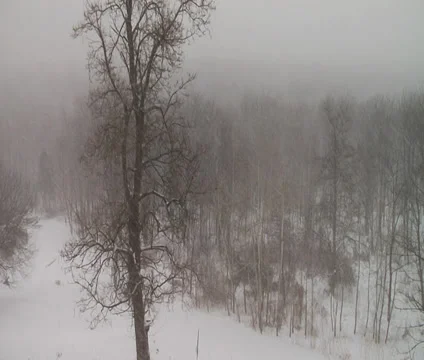 Winter Snow Storm Scene 2 Background Stock Footage 35177366