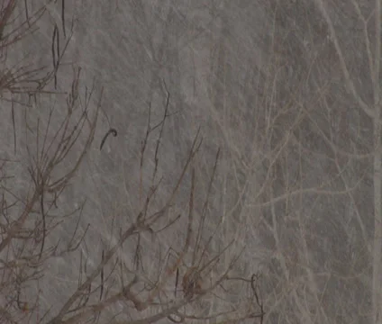 Winter Snow Storm Scene 3 Background Stock Footage 35177336