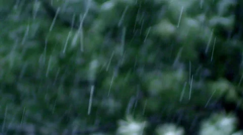 Winter - Snow Storm - Snowflakes Background Forest Stock Footage 42934778