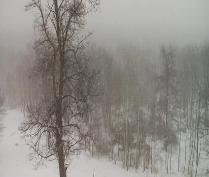 Winter Snow Storm Timelapse Background Stock Footage 35177032