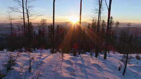 Winter Snow Sunset Forest Reverse Aerial 4k Stock Footage 70886470