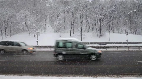 Winter snow in the woods, falling snow video 스톡 동영상 50195037