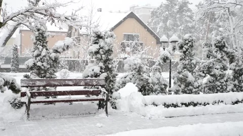 Winter snow in the woods, falling snow video 스톡 동영상 50195661