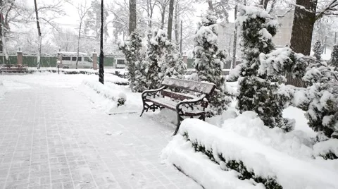 Winter snow in the woods, falling snow video 스톡 동영상 50195724