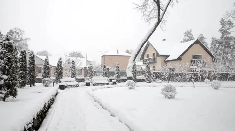 Winter snow in the woods, falling snow video 스톡 동영상 50195810