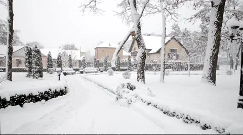 Winter snow in the woods, falling snow video 스톡 동영상 50195825