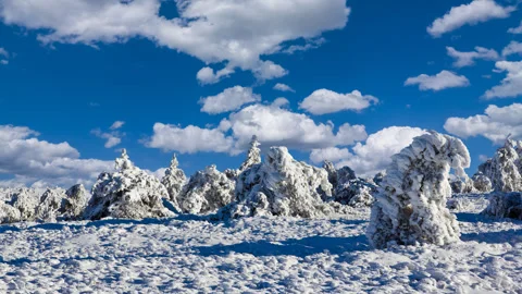 Winter snowbound forest scene time lapse scene Stock Footage 263911400