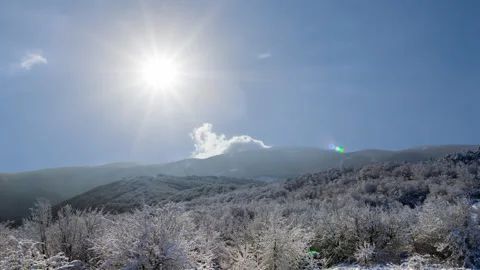Winter snowbound forest under a sparkle sun Vídeos de archivo 328710734