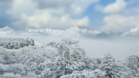Winter snowbound mountain chain with pine forest time lapse scene Stock-Footage 155108335