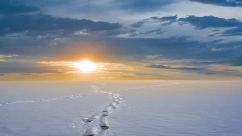 Winter snowbound plain with human track at the sunset Vídeos de archivo 262440507