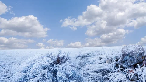 Winter snowbound plain under a cloudy sky Vídeos de archivo 315129466