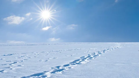 Winter snowbound plain under a  sparkle sun Video stock 154046366