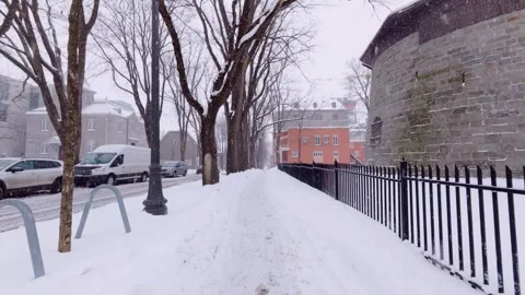 Winter snowfall along tree lined city street Stock Footage 323972458