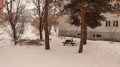 Winter Snowfall Background with Pine Trees and Cozy Residential Backyard 库存影片 334321702