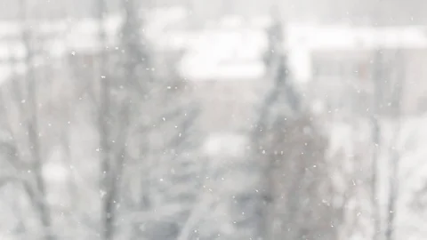 Winter snowfall close-up. Blurred background. Stock Footage 86947996