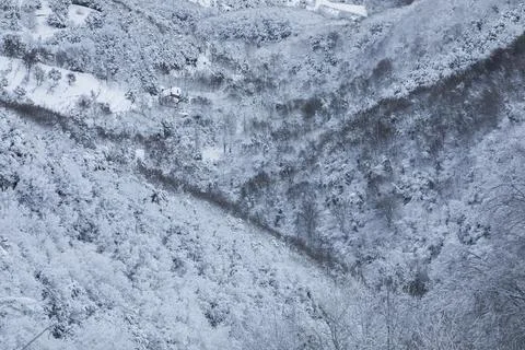 Winter snowfall in Collada De Bracons and Puigsacalm peak, La Garrotxa, Gir.. Stockfoto's
